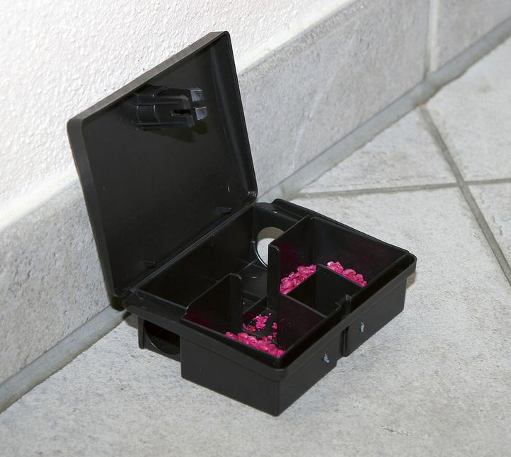 Actual product image Kerbl Bait station BlocBox (for mice, plastic bait box, lockable with key, dimensions 12