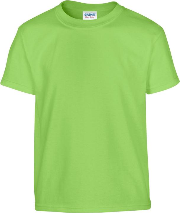 Gildan ChildrensKids Plain Cotton Heavy TShirt