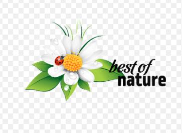 Produktbild Natura Kichererbsen 1 kg (1000 g)