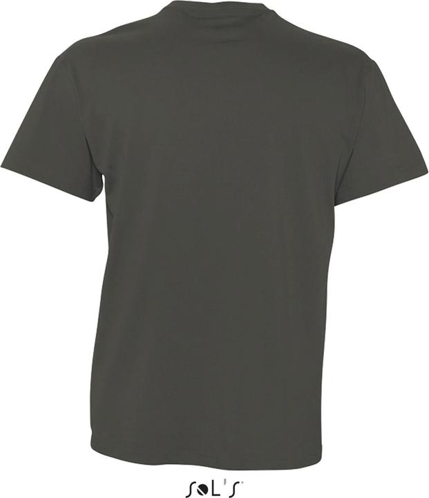Actual product image Sol's Victory (S)