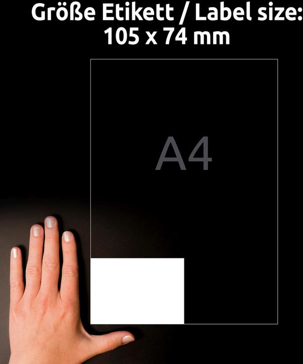 Immagine prodotto Avery Etichette in pellicola ultraresistente
