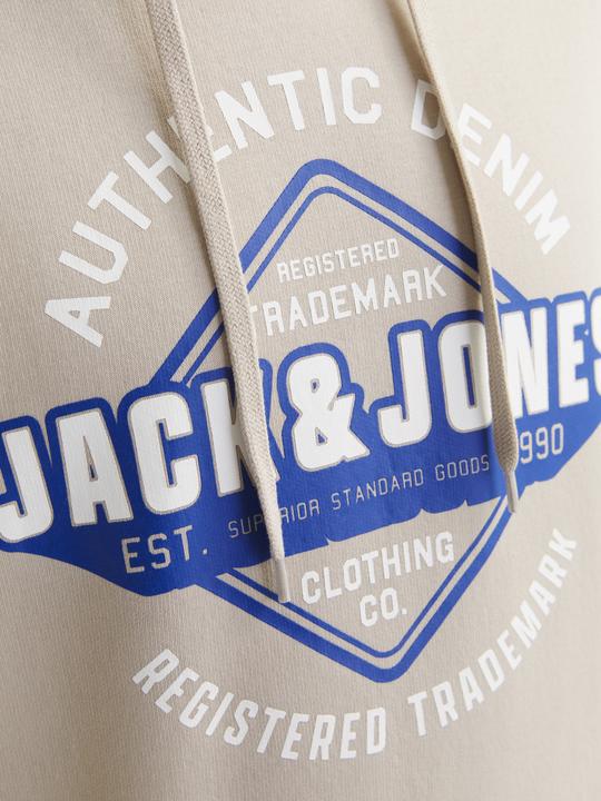 Immagine prodotto Jack & Jones JJELOGO SWEAT HOOD 2 COL 24/25 NOOS (L)