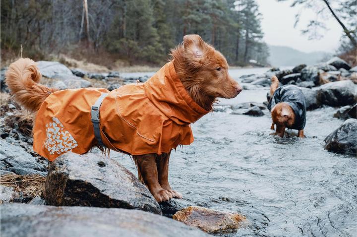 Actual product image Hurtta Monsoon raincoat orange (30, XS, Dog coat)