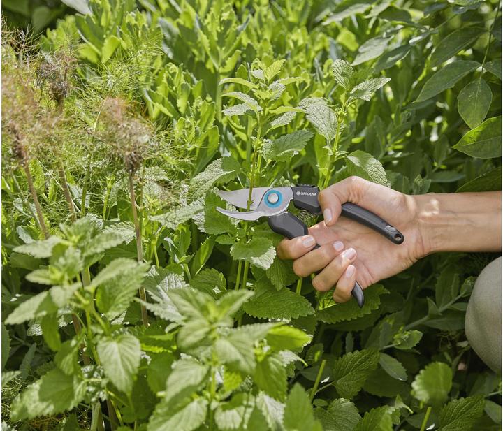 Actual product image Gardena EcoLine