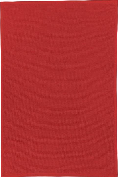 Actual product image Erwin Müller Multifunctional scarf 4-pack (50 x 70 cm)