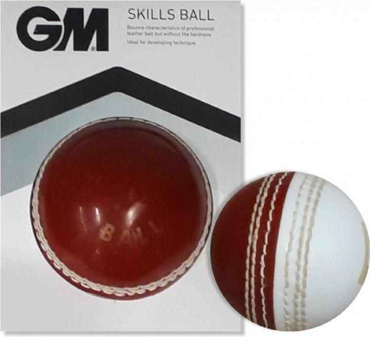 Gunn And Moore Skills Cricket Ball