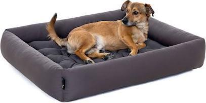Produktbild Pointer Hundekissen (Hund)