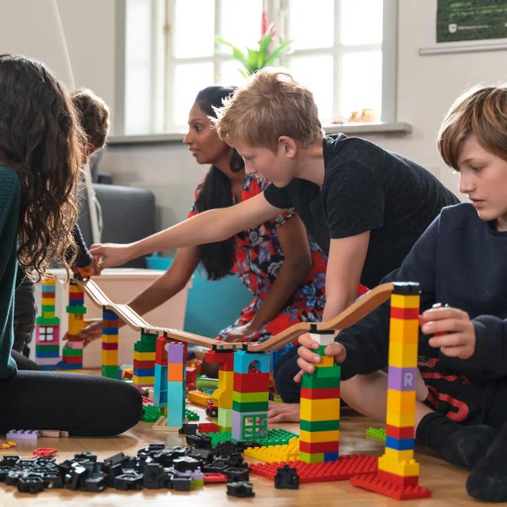 Actual product image Toy2 Allround Large (21025)