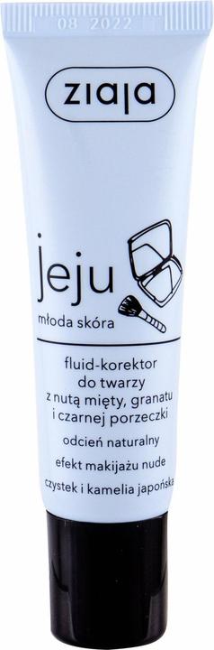Image du produit Ziaja Jeju Fluid-Concealer - Natural Proofreader (Natural)