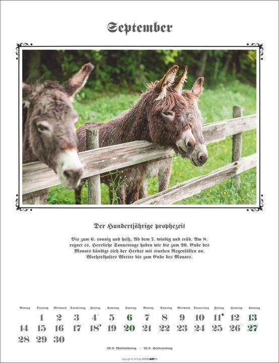 Produktbild Der Hundertjährige Kalender 2026 (30 x 39 cm, Deutsch)
