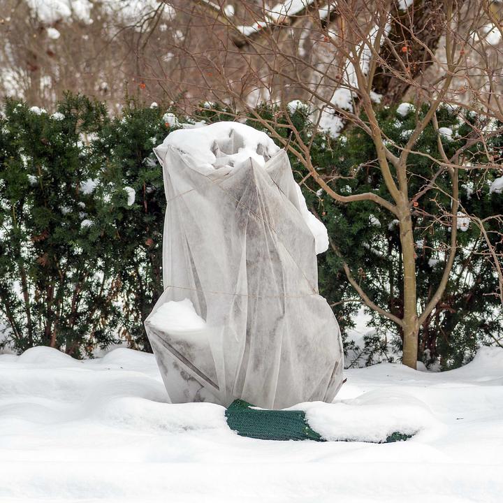 Produktbild Toboli 2x Winterschutz Pflanzen 120x180cm 70g/m² Frostschutz Vlies Schutzhaube
