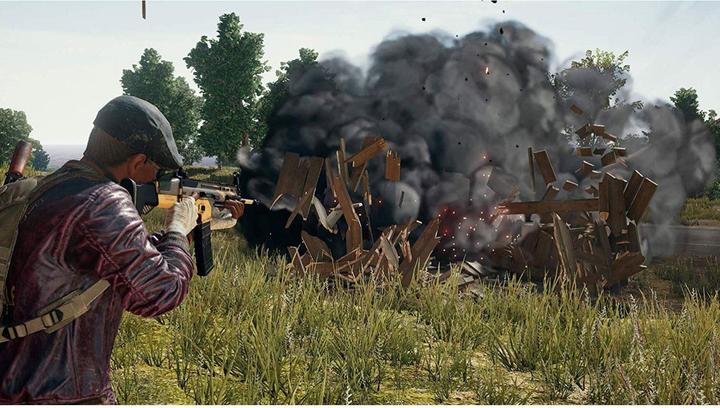 Image du produit Sony PlayerUnknown's Battlegrounds (Importation) (PS4)