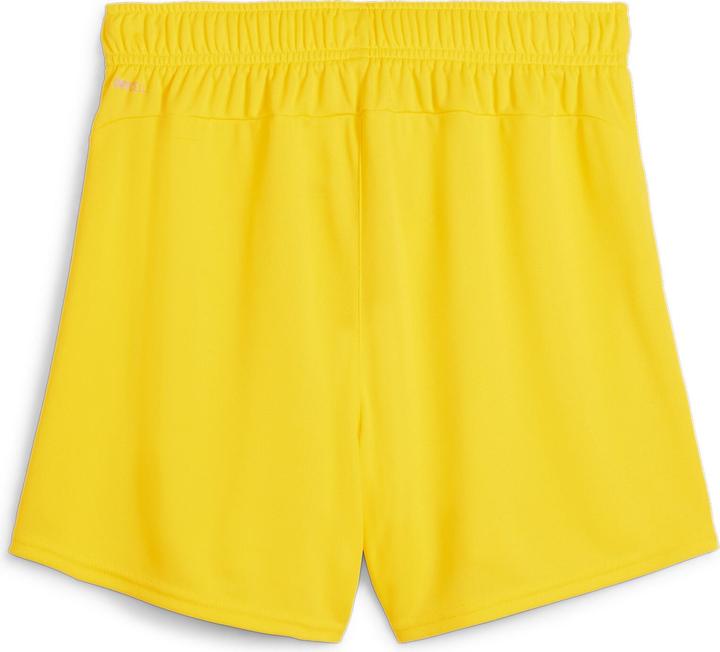 Actual product image Puma teamGOAL Handball Shorts W (M)