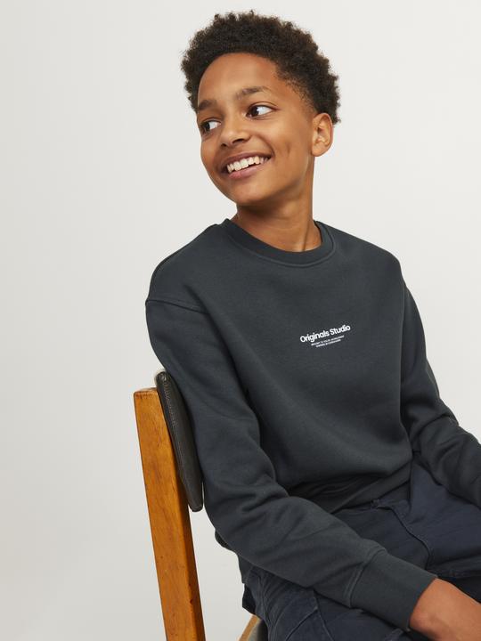 Immagine prodotto Jack & Jones Jorvesterbro Sweat Crew Neck Bn Mni (110)