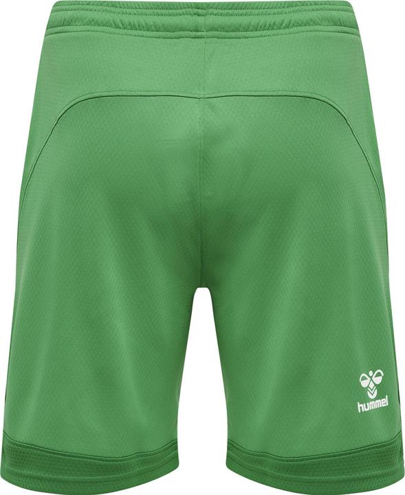 Actual product image hummel Lead Poly Shorts (S)