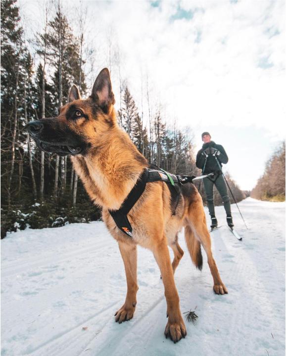 Image du produit Non-Stop Dogwear Harnais Freemotion (3, Chien, Général)