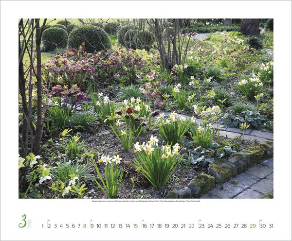 Produktbild Gartenträume 2026 (Englisch, Französisch)