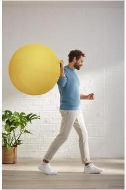 Produktbild Leitz Ergo Cosy Active Sitzball (65 cm)