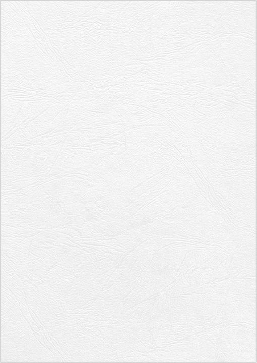 Actual product image Fellowes Delta cover sheet with leather structure, white