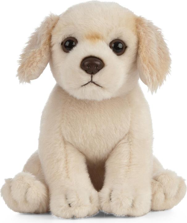 Produktbild Living Nature Golden Retriever Welpe (16 cm)