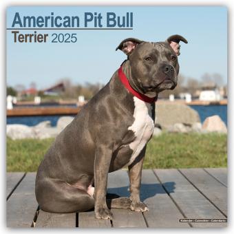 Actual product image Avonside Publishing Ltd:American Pit Bu (305 x 305 mm, No binding, German)