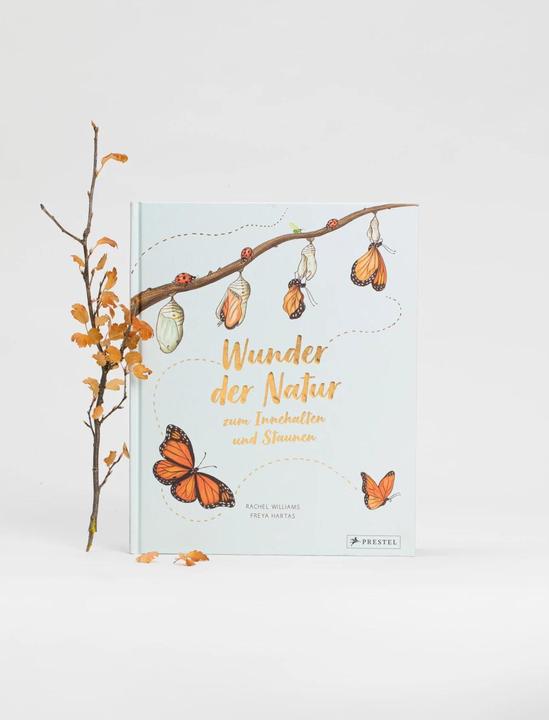 Produktbild Wunder der Natur zum Innehalten und Staunen (Deutsch, Freya Hartas, Rachel Williams, 2020)