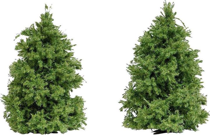 Immagine prodotto Busch 6122 Larice Albero 60-60 mm Verde 2 pz.