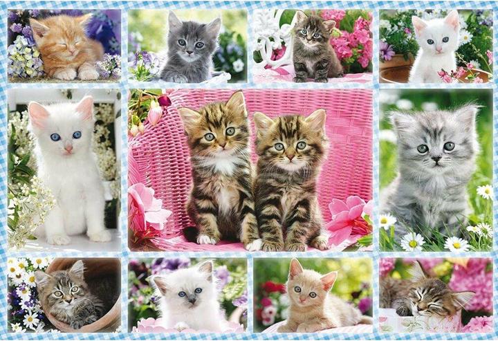 Produktbild Schmidt Spiele Katzenbabies (100 Teile)