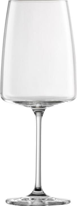 Zwiesel Bicchiere da vino rosso (66 cl, 1 Occhiali, Bicchieri da vino rosso)