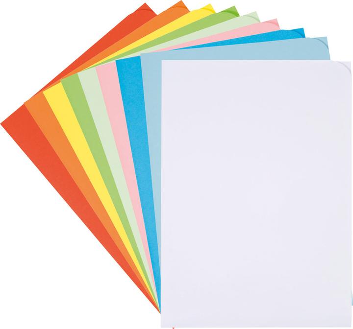 Produktbild Elco Sichthülle Ordo discreta (A4, 100 x)