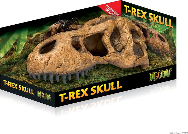 Actual product image Exo Terra EXOTERRA - Cave T Rex Skull - (222.2059)