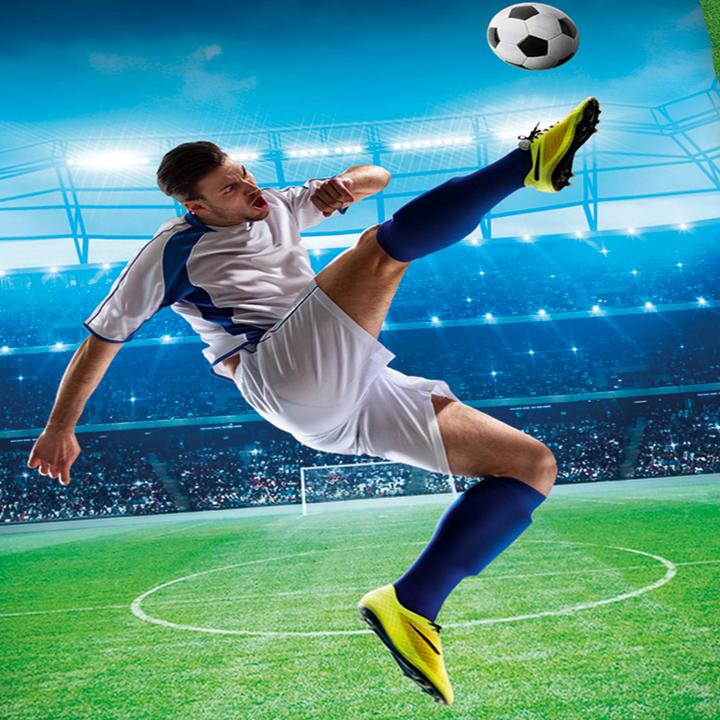 Actual product image Herding Football