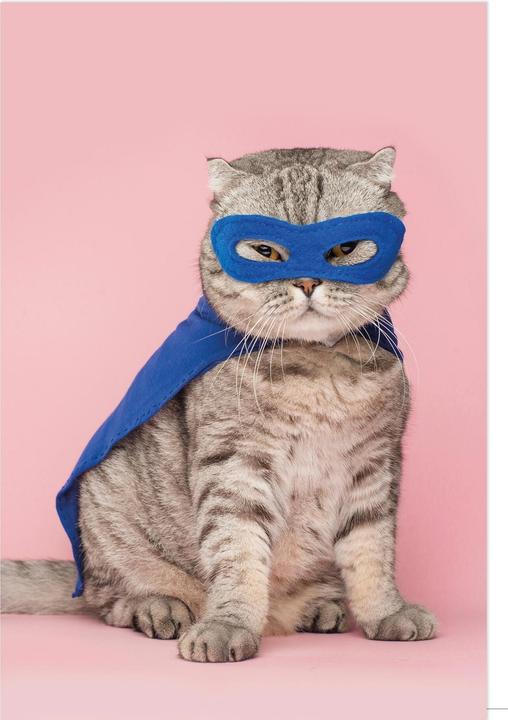 Braun + Company Gatto Superman (1 pz.)