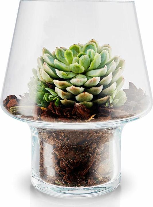 Produktbild Eva Solo Sukkulenten-Glasvase Ø15cm (1 x, Ø 15 cm)