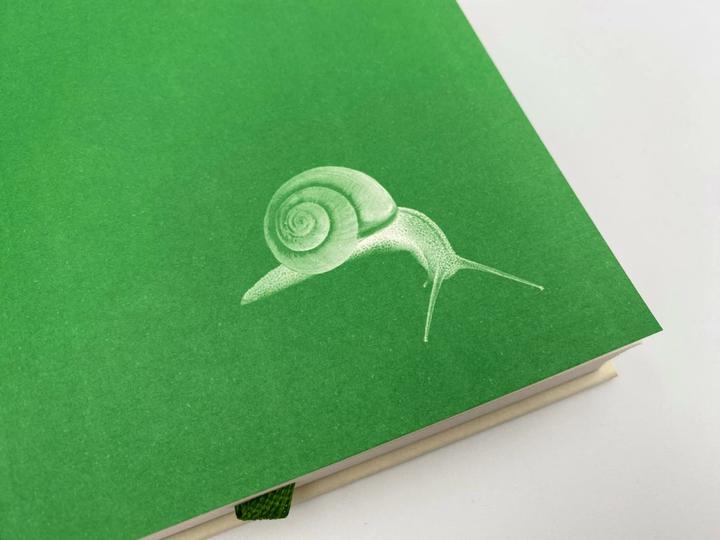 Immagine prodotto Das Geräusch einer Schnecke beim Essen (Tedesco, Kathrin Razum, Bailey Tova Elisabetta, Kathy Bray, 2023)