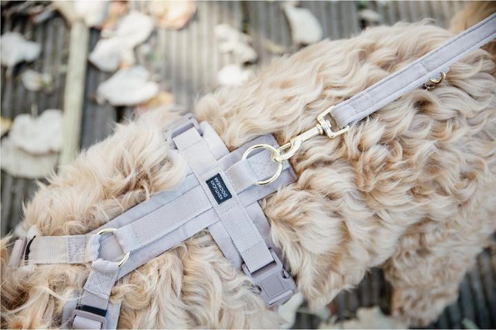 Produktbild Kentucky Dogwear Hundeleine Velvet (L, Hund, Hundesport)