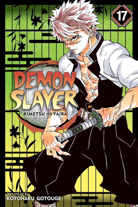 Produktbild Demon Slayer: Kimetsu no Yaiba, Vol. 17 (Englisch, Koyoharu Gotouge, 2020)
