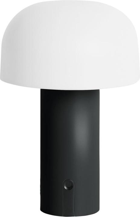 Noir