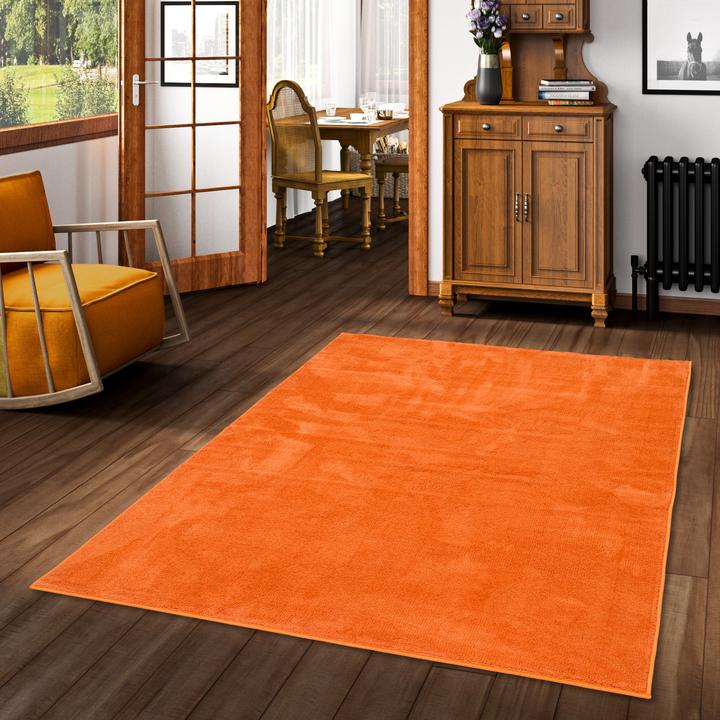 Actual product image Snapstyle Luxury Super Soft high pile long pile carpet Deluxe (160 x 240 cm)