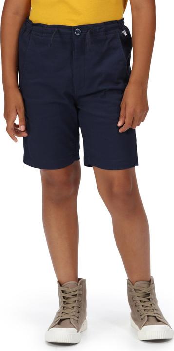 Actual product image Regatta Alber Shorts (146)