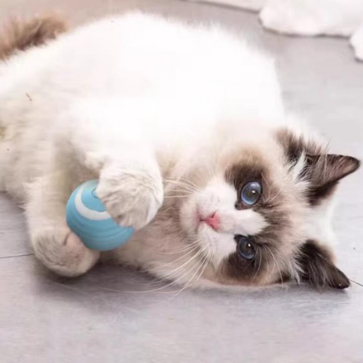 Produktbild Suba Elektrischer Katzenball mit LED Licht (Ballspielzeug Katze)