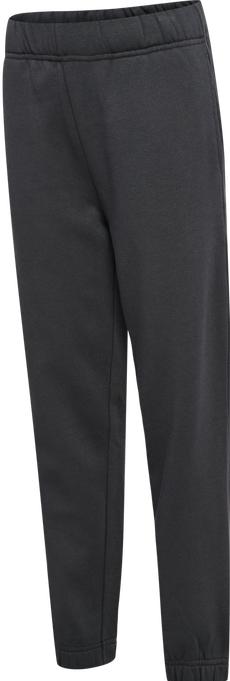 Image du produit hummel hmlALVIN PANTS (104)