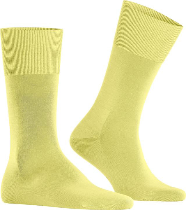 Actual product image Falke ClimaWool Herren (41 - 42)