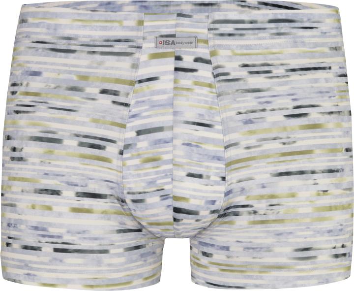 ISA Bodywear Panty Andy (L, Einzelpack)