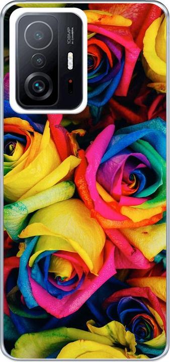 Colourful roses