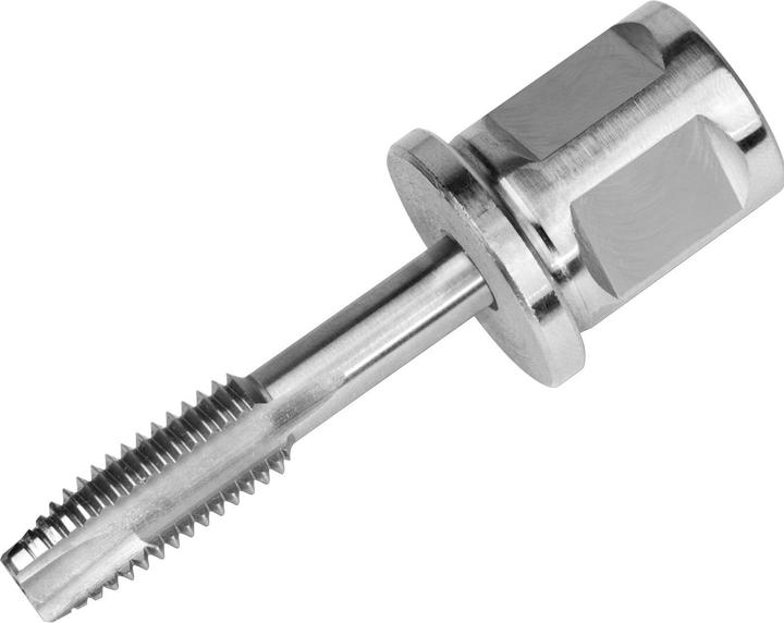 Actual product image Fein Taraud pour taraudages débouchants avec adaptateur porte-outil Weldon 3/4 in, Boulons M 6