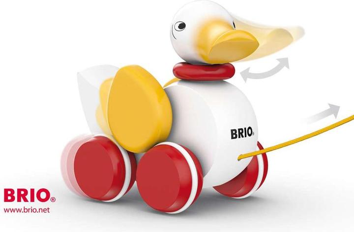 Actual product image Brio canard