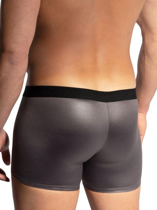 Produktbild Olaf Benz Boxerpant Delphinhaut (S)
