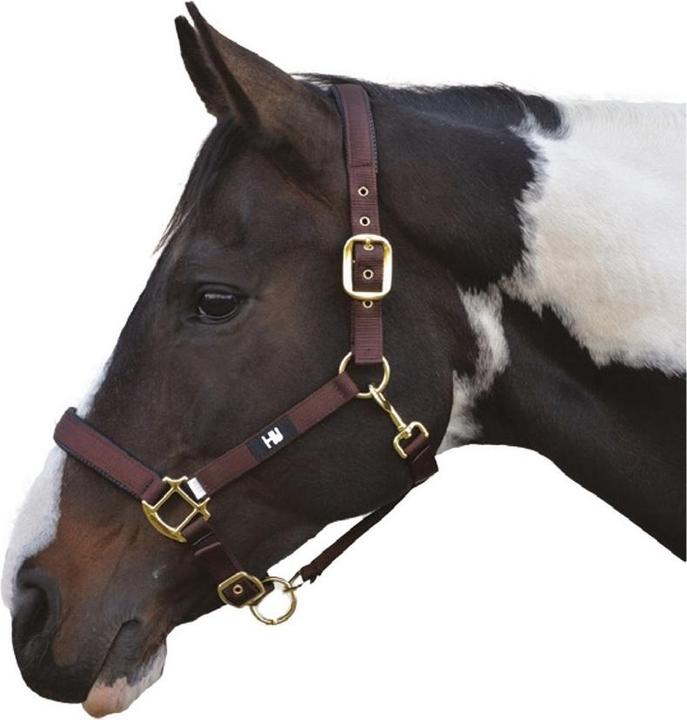 Immagine prodotto Hy Health Hy Grand Prix Halter