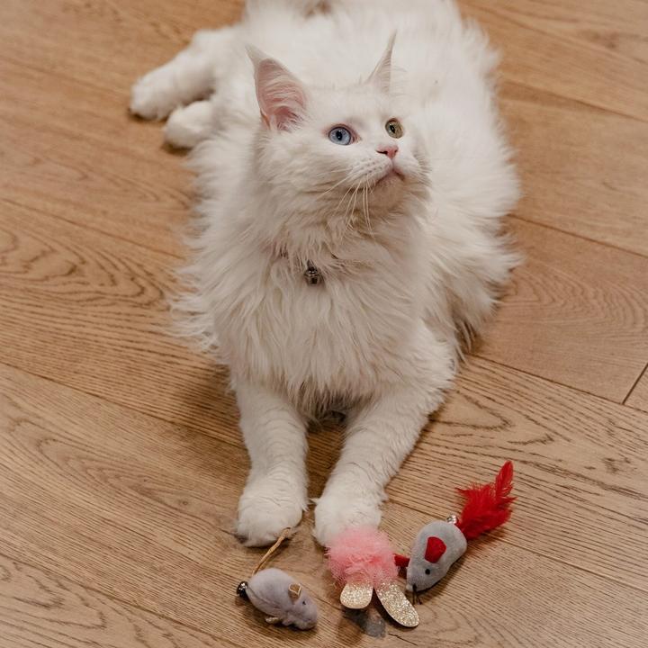 Produktbild Red Dingo DINGO Mäuse - katzenspielzeug (Spielmaus Katze)